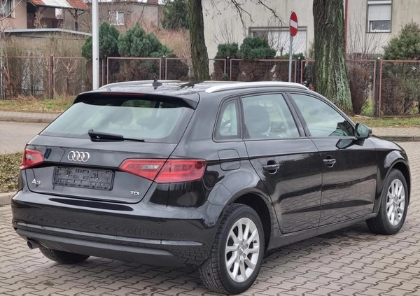 Audi A3 cena 41900 przebieg: 240800, rok produkcji 2013 z Żary małe 742